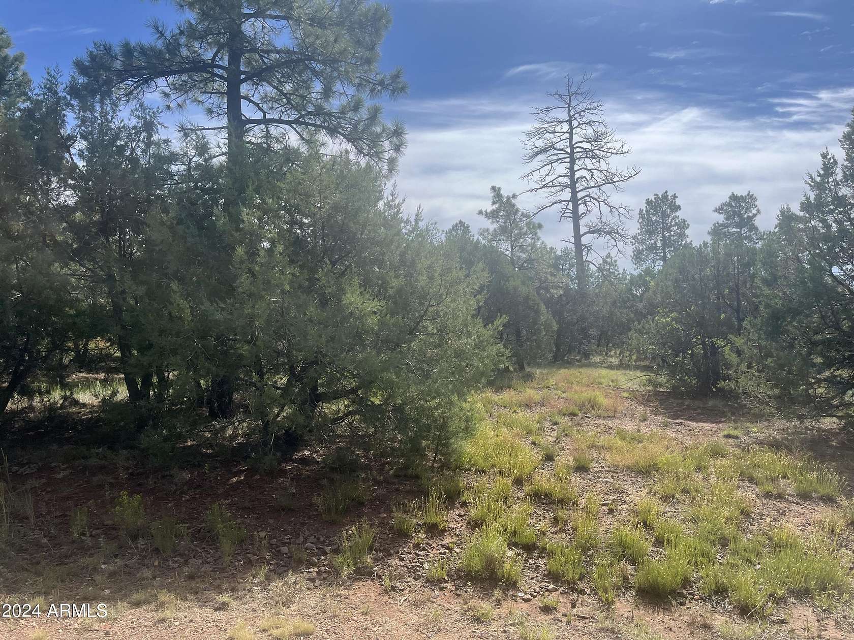 0.24 Acres of Residential Land for Sale in Lakeside, Arizona