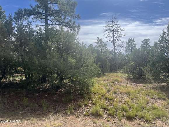 0.24 Acres of Residential Land for Sale in Lakeside, Arizona