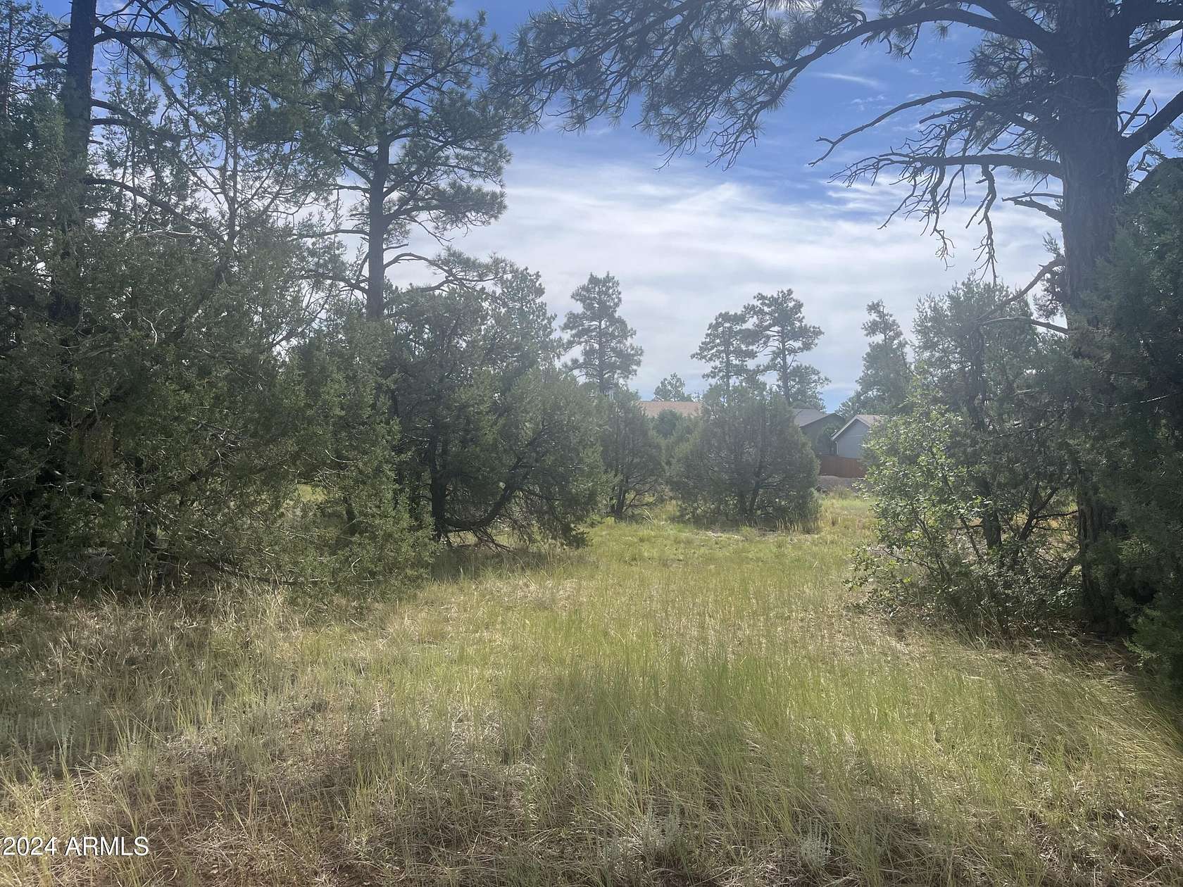 0.25 Acres of Residential Land for Sale in Lakeside, Arizona