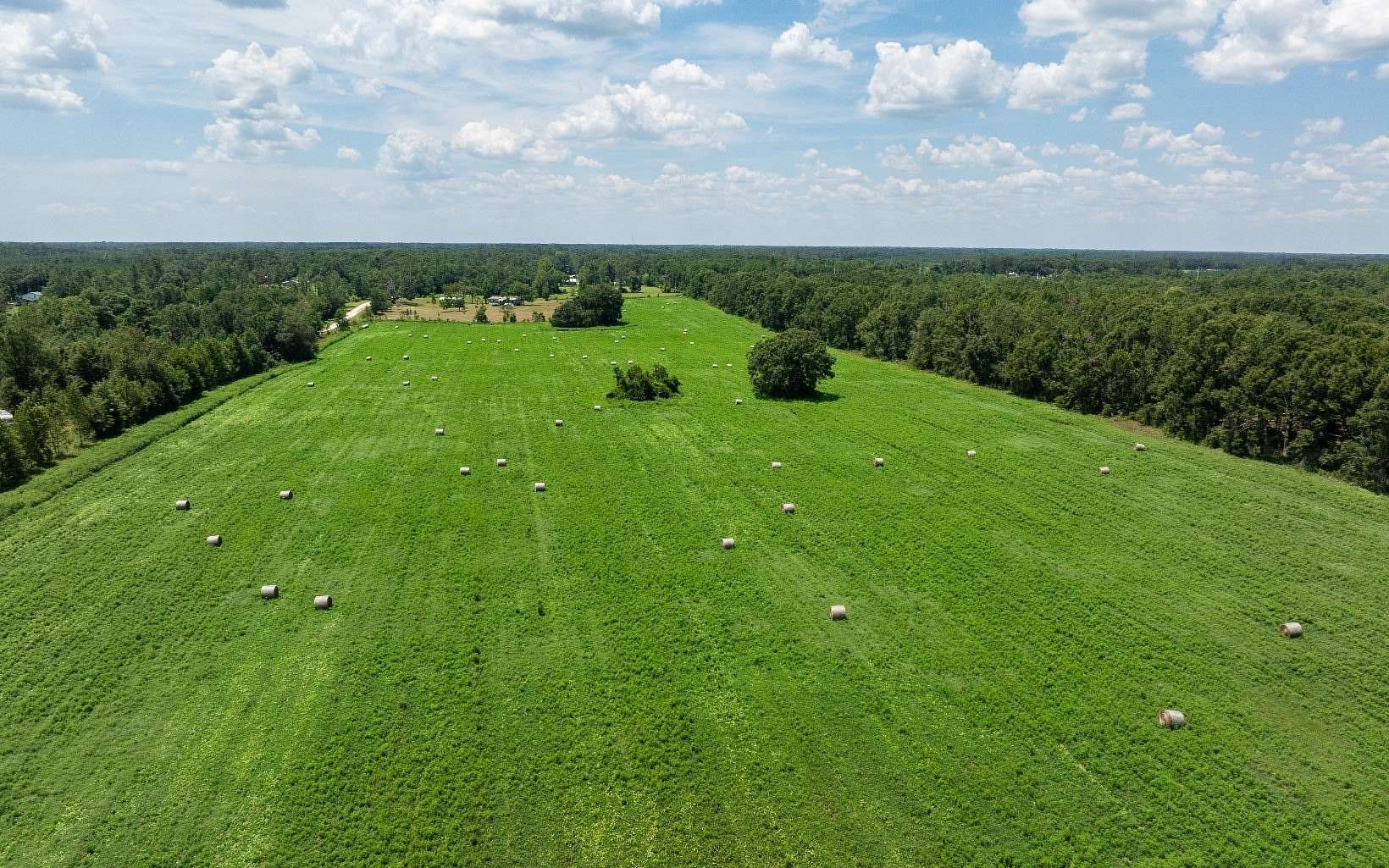 105.83 Acres of Agricultural Land for Sale in Live Oak, Florida