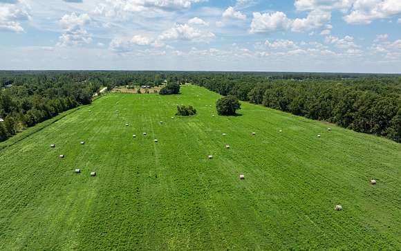 105.83 Acres of Agricultural Land for Sale in Live Oak, Florida