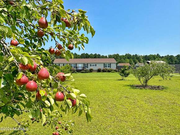 12.34 Acres of Land with Home for Sale in Cove City, North Carolina