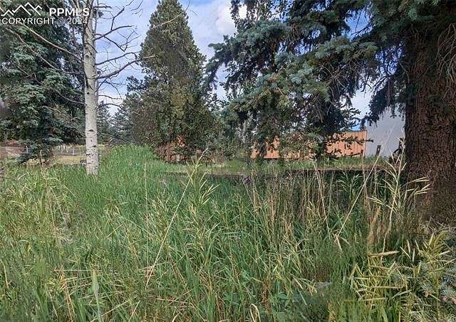 0.18 Acres of Commercial Land for Sale in Woodland Park, Colorado