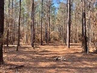 40 Acres of Recreational & Residential Land for Sale in Pineville, Louisiana
