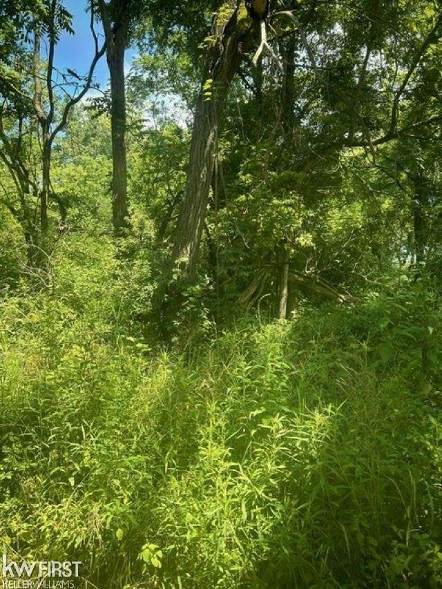 3.66 Acres of Residential Land for Sale in Holly, Michigan