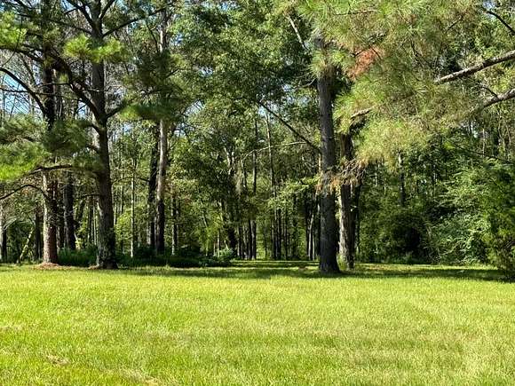 30 Acres of Recreational Land & Farm for Sale in Terry, Mississippi