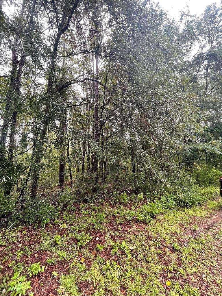 8.11 Acres of Land for Sale in Mayo, Florida