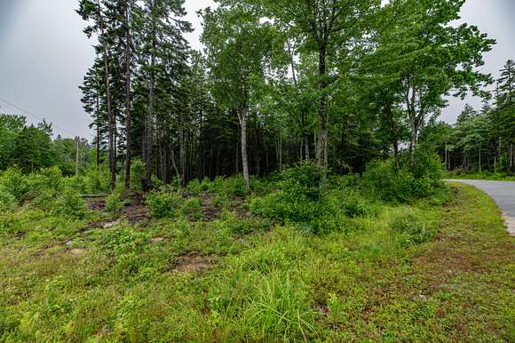 7.67 Acres of Residential Land for Sale in Steuben, Maine