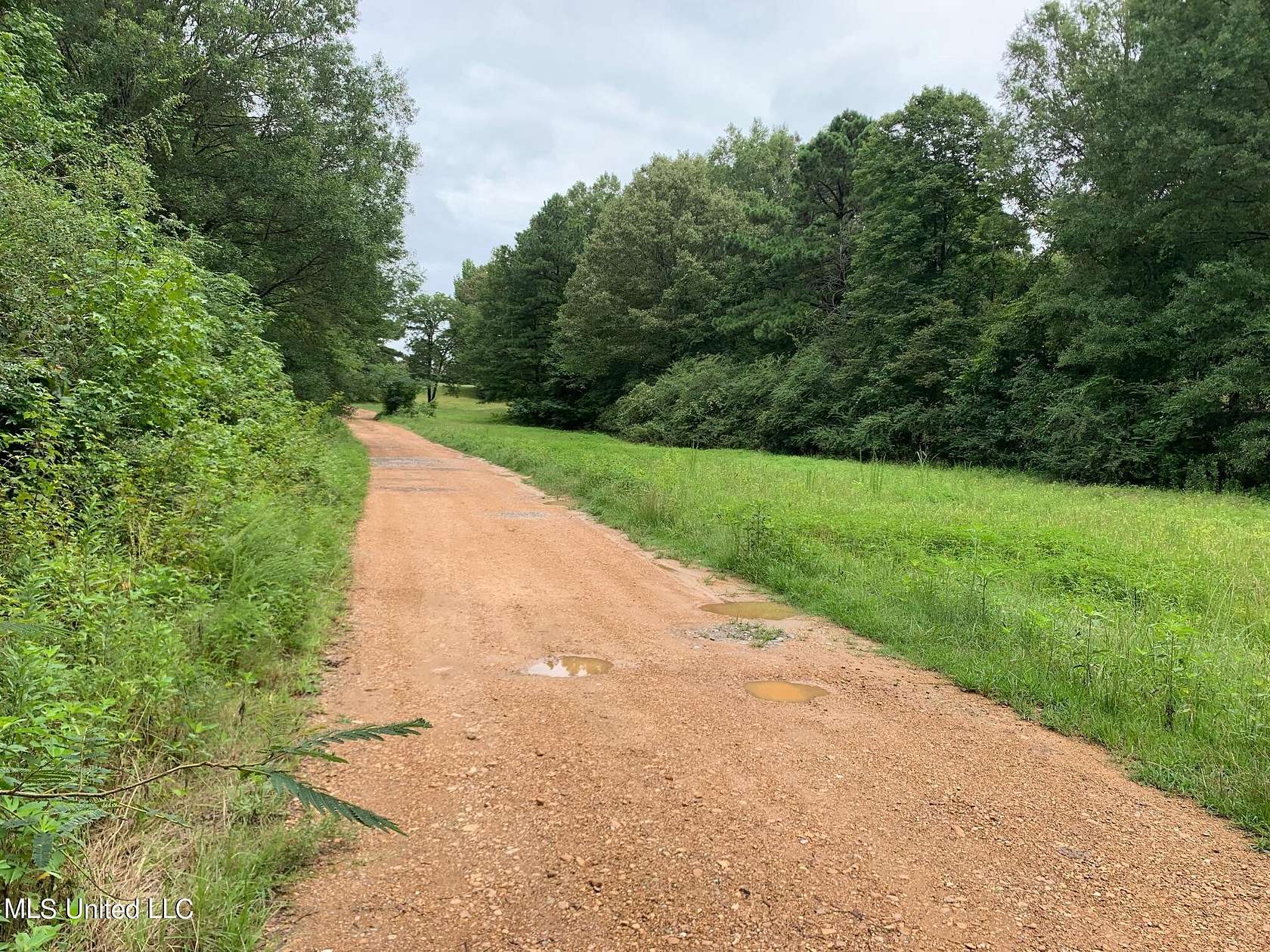 16.1 Acres of Land for Sale in Coldwater, Mississippi