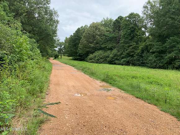 16.1 Acres of Land for Sale in Coldwater, Mississippi