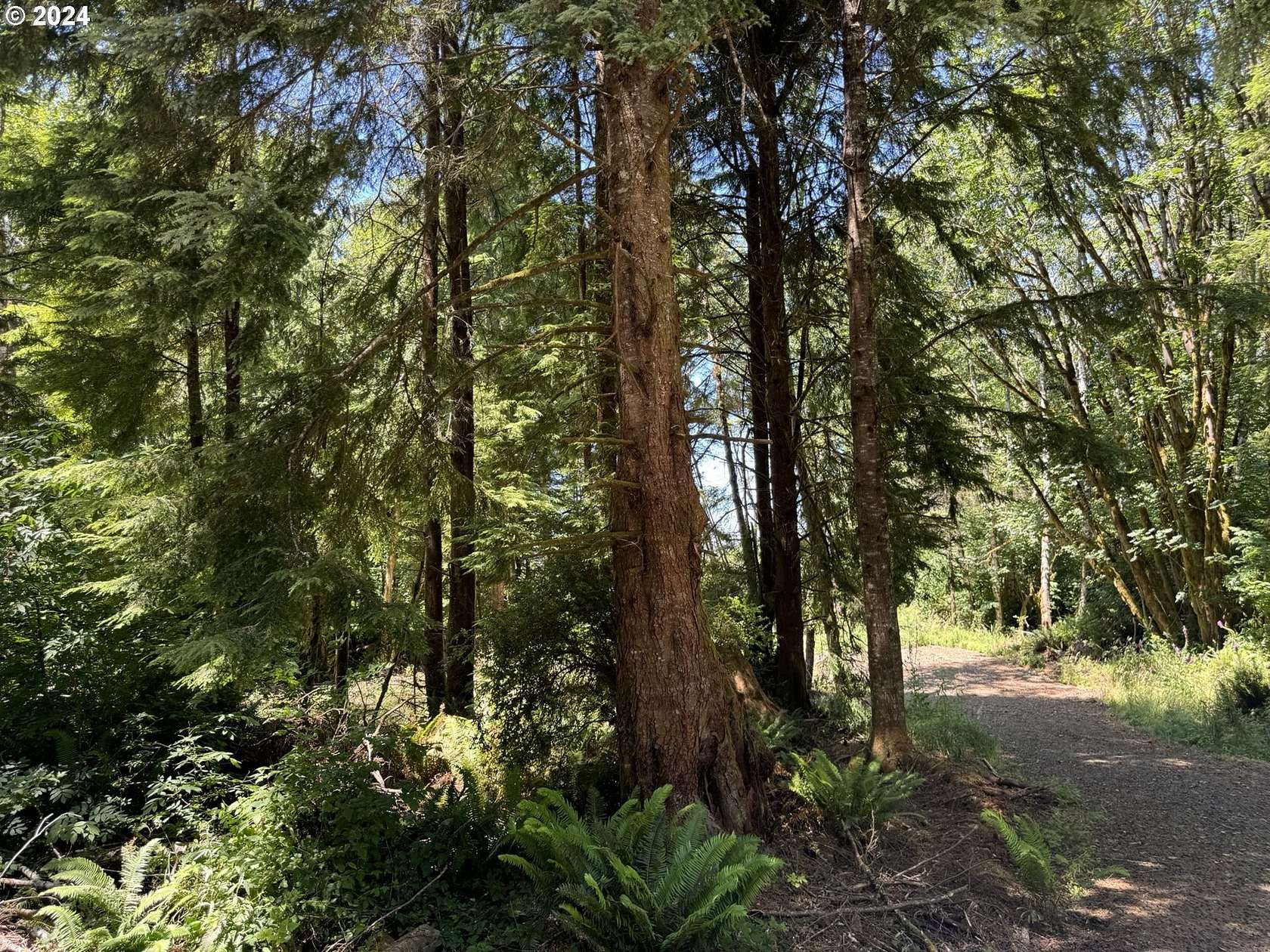 2.02 Acres of Residential Land for Sale in North Bend, Oregon