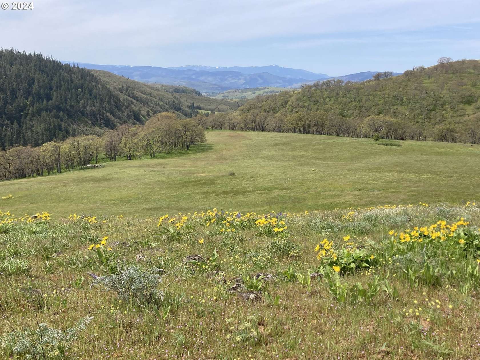 20 Acres of Recreational Land for Sale in Lyle, Washington
