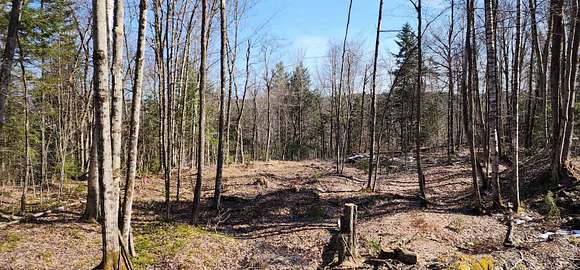 1.02 Acres of Residential Land for Sale in Duxbury, Vermont