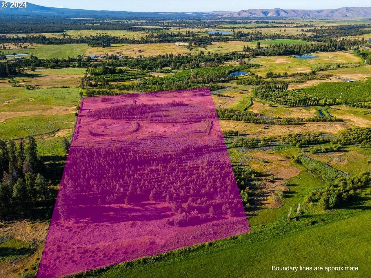 20 Acres of Agricultural Land for Sale in Wamic, Oregon