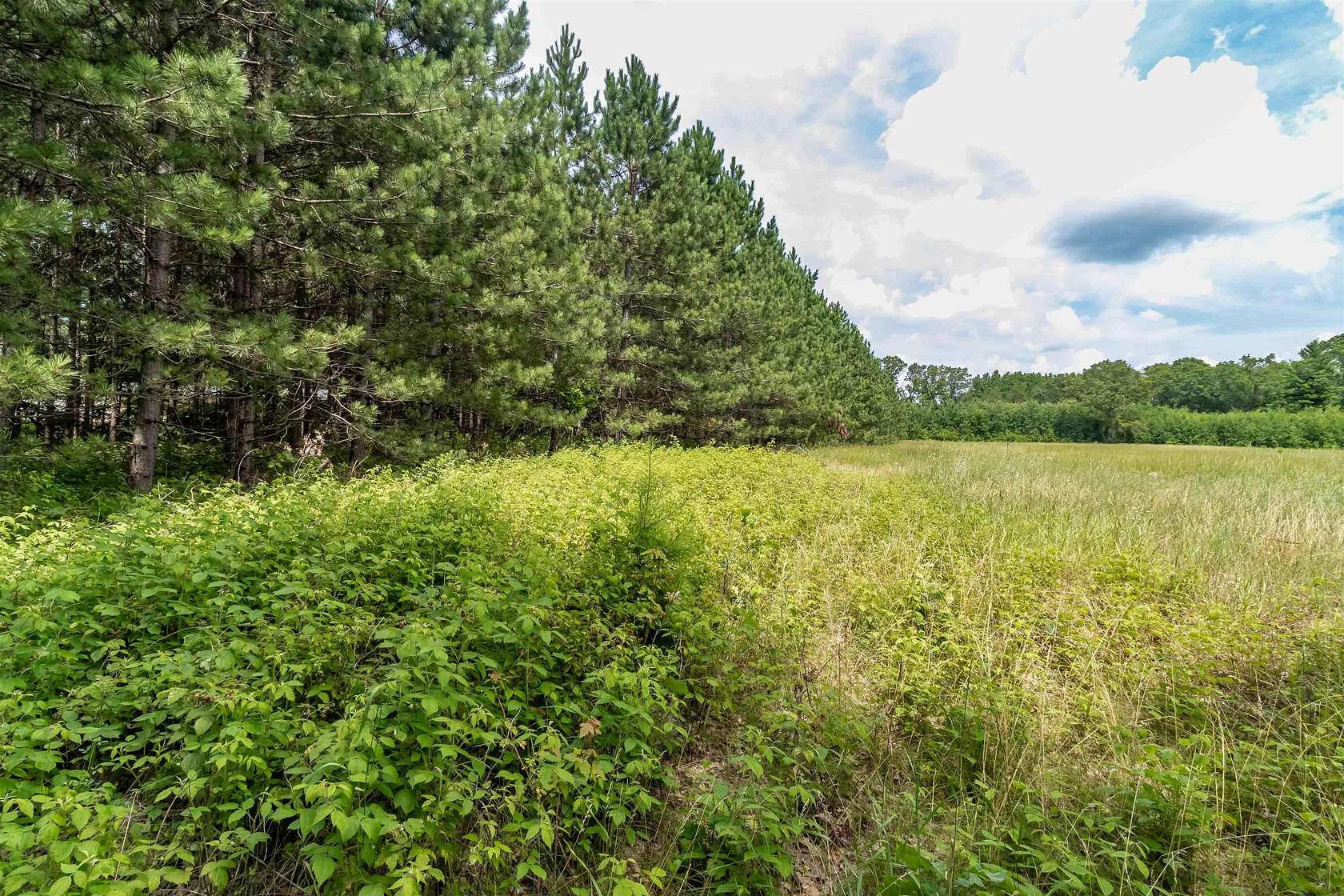 80 Acres of Recreational Land for Sale in Friendship, Wisconsin