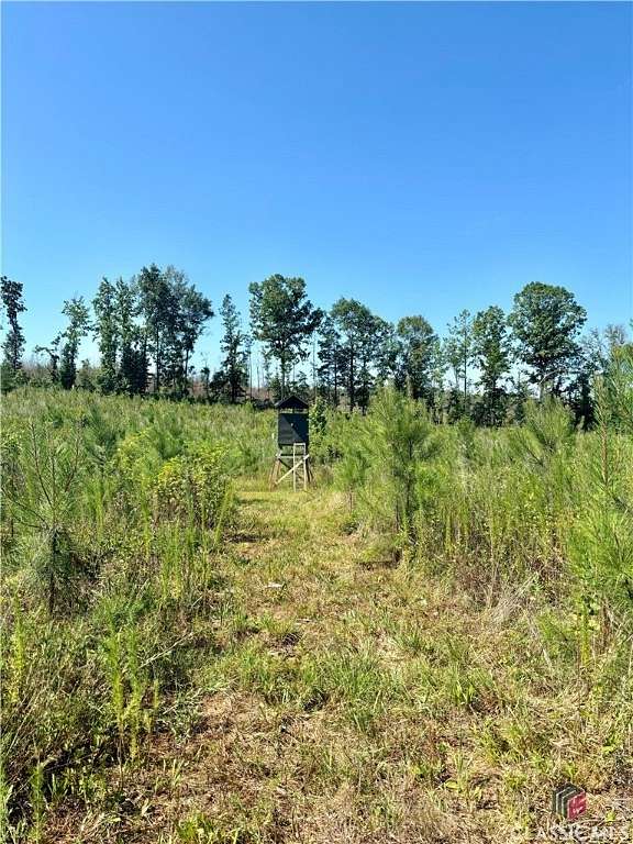 13.95 Acres of Recreational Land for Sale in Carlton, Georgia
