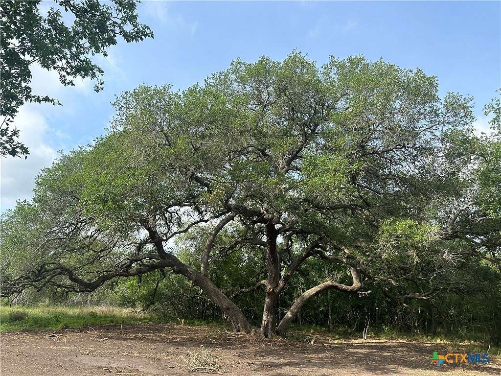 18.5 Acres of Land for Sale in Goliad, Texas