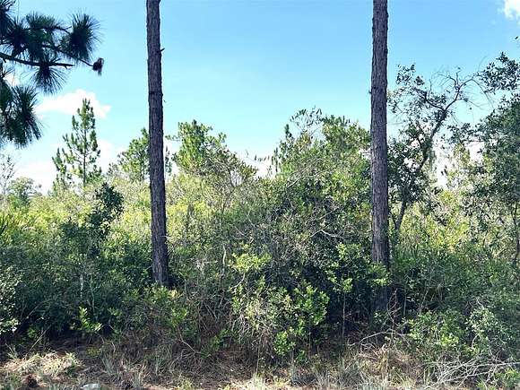 0.5 Acres of Residential Land for Sale in Indian Lake Estates, Florida