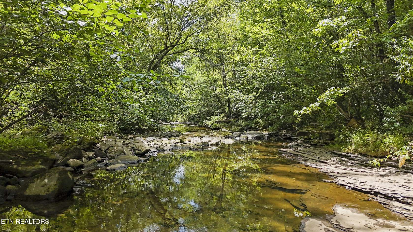 20.6 Acres of Recreational Land for Sale in Oneida, Tennessee