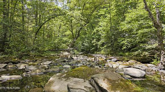 20.57 Acres of Recreational Land for Sale in Oneida, Tennessee