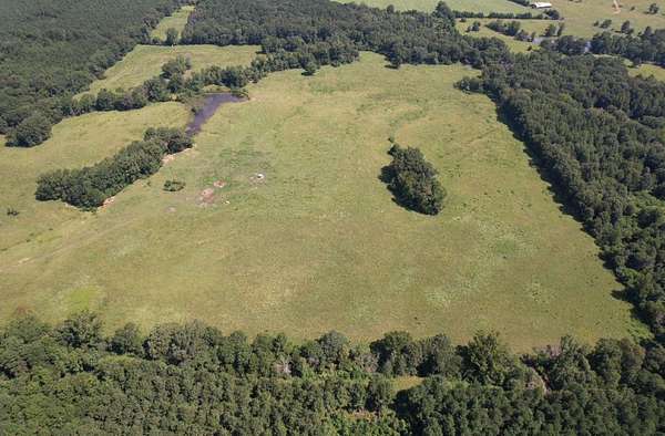 44 Acres of Agricultural & Residential Land for Sale in Timpson, Texas