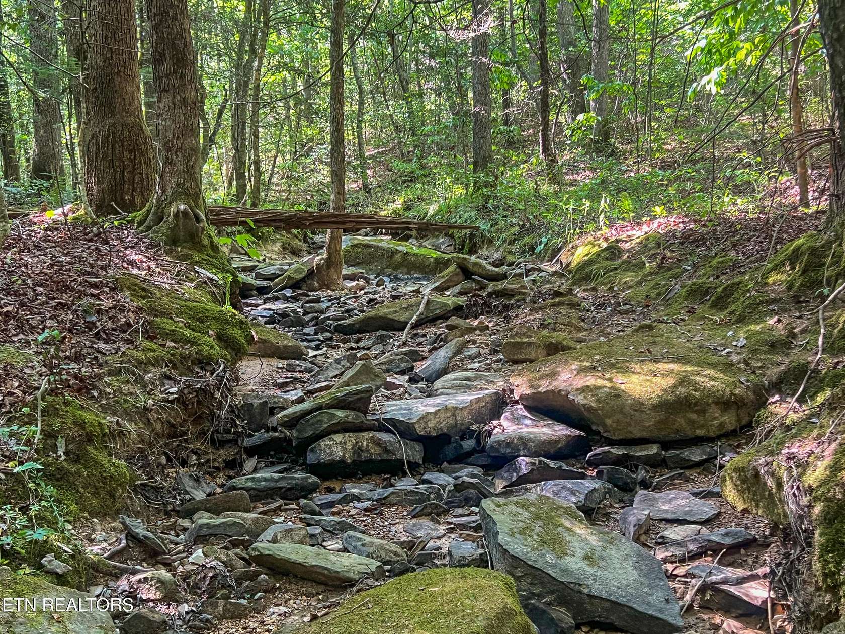 120 Acres of Recreational Land for Sale in Oneida, Tennessee