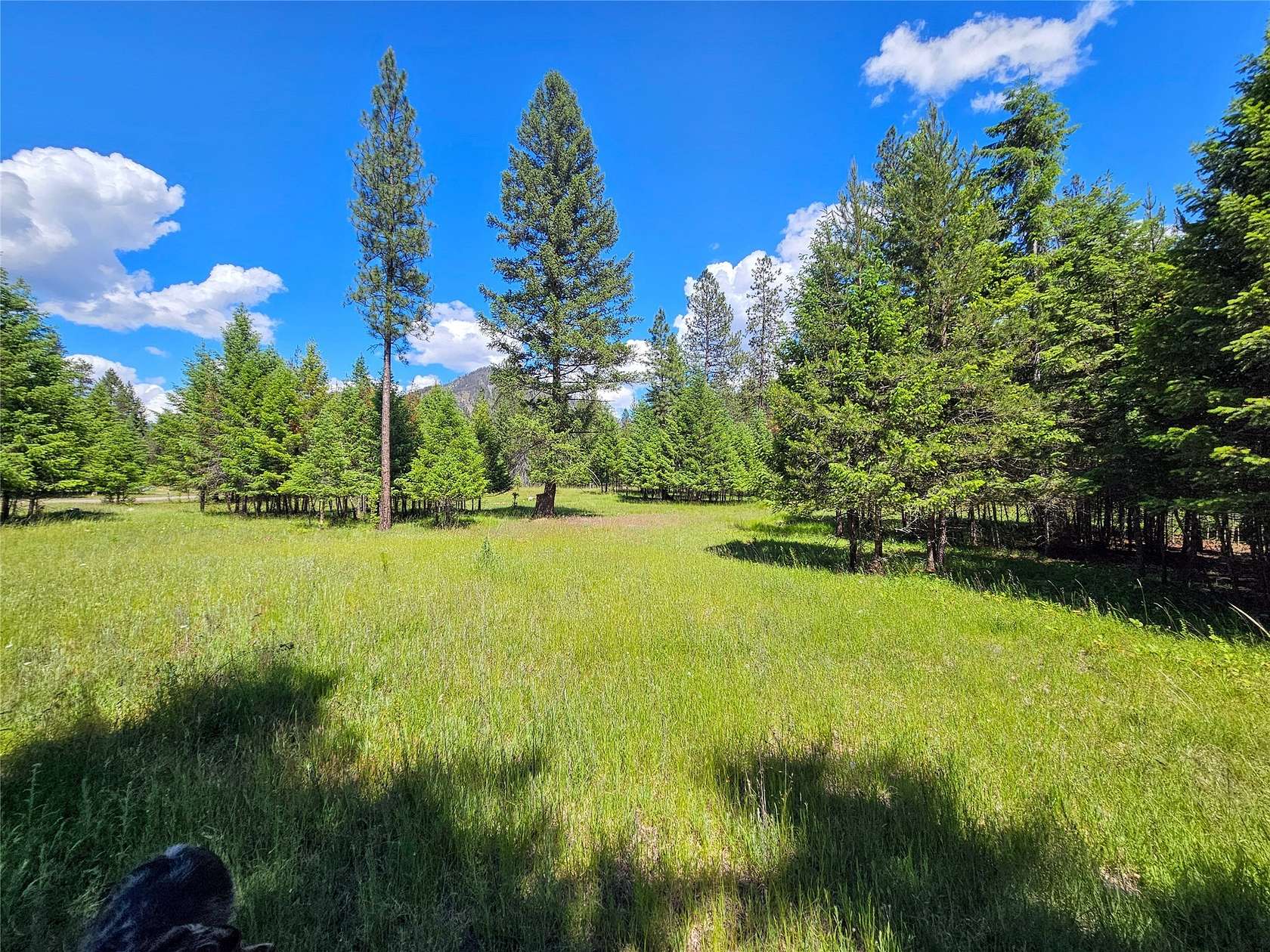 2.66 Acres of Land for Sale in Thompson Falls, Montana