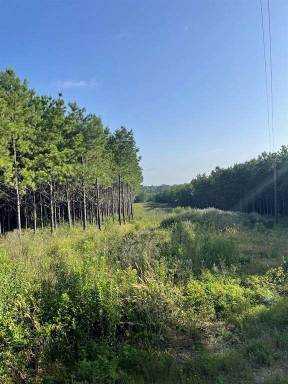 16.4 Acres of Land for Sale in Center, Texas