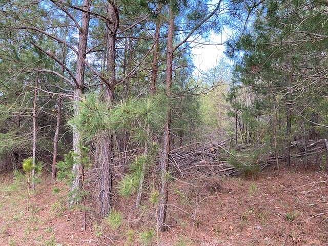 0.98 Acres of Residential Land for Sale in Fair Play, South Carolina