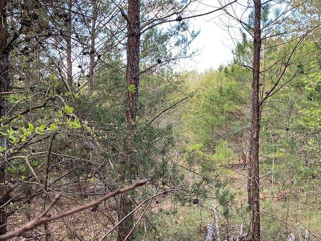 0.73 Acres of Residential Land for Sale in Fair Play, South Carolina