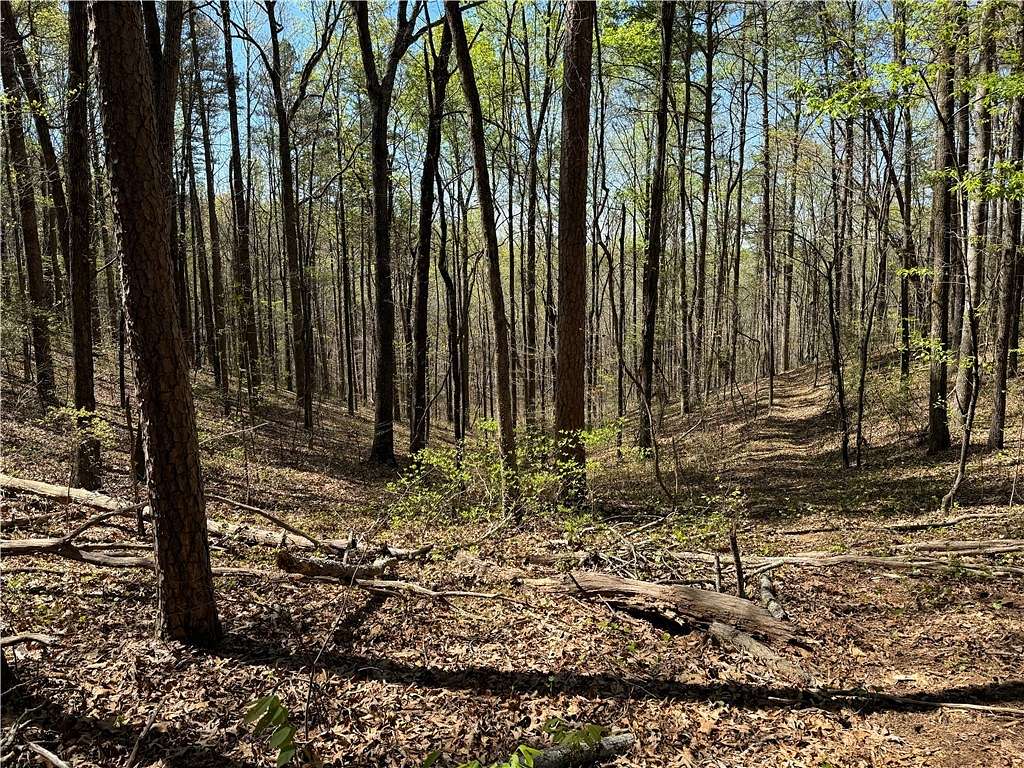 29.36 Acres of Agricultural Land for Sale in Westminster, South Carolina