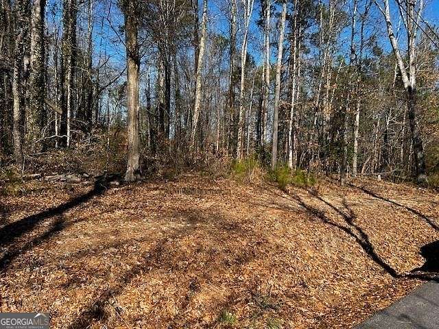 0.21 Acres of Residential Land for Sale in Lavonia, Georgia