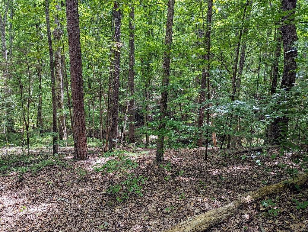 15 Acres of Land for Sale in Ware Shoals, South Carolina