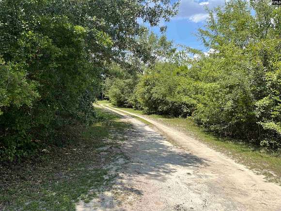 40.18 Acres of Recreational Land for Sale in North, South Carolina