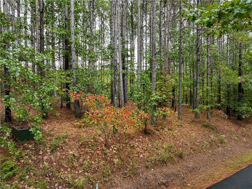 1.07 Acres of Residential Land for Sale in Sunset, South Carolina