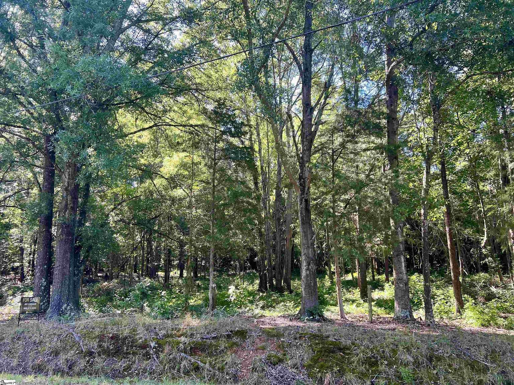 2.23 Acres of Residential Land for Sale in Laurens, South Carolina