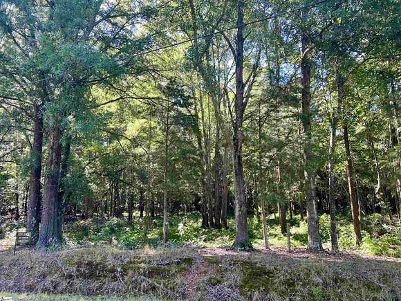 2.23 Acres of Residential Land for Sale in Laurens, South Carolina