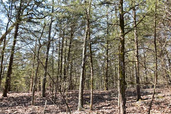 39 Acres of Recreational Land for Sale in Highlandville, Missouri