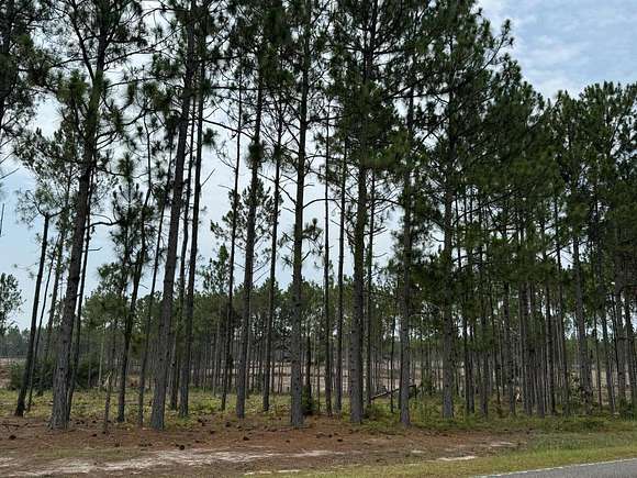 12.65 Acres of Agricultural Land for Sale in Aiken, South Carolina