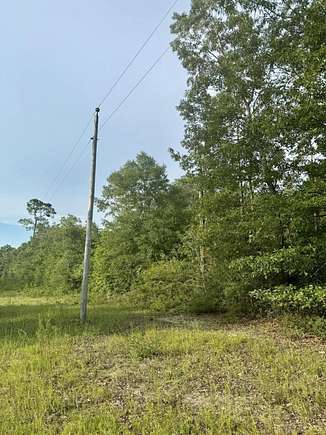 40 Acres of Land for Sale in Ponce de Leon, Florida