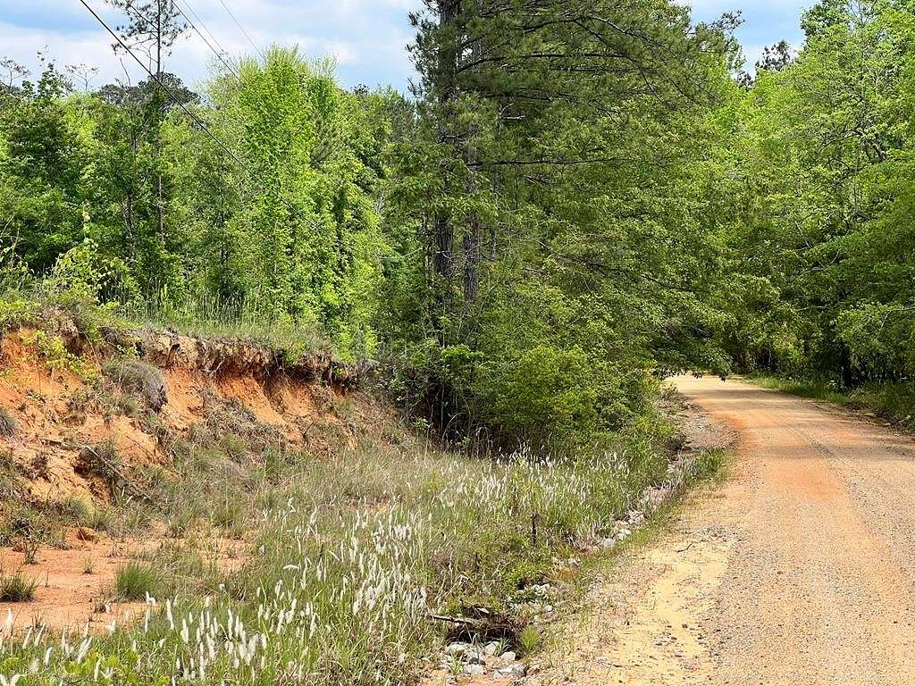 5 Acres of Land for Sale in Waynesboro, Mississippi