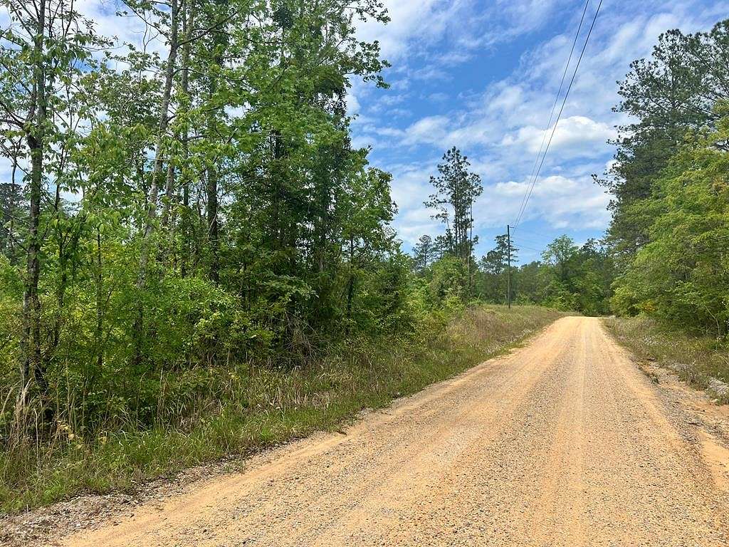 12 Acres of Land for Sale in Waynesboro, Mississippi