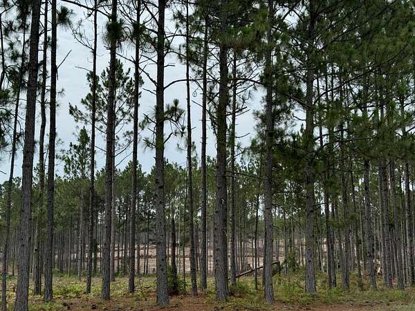 12.2 Acres of Agricultural Land for Sale in Aiken, South Carolina