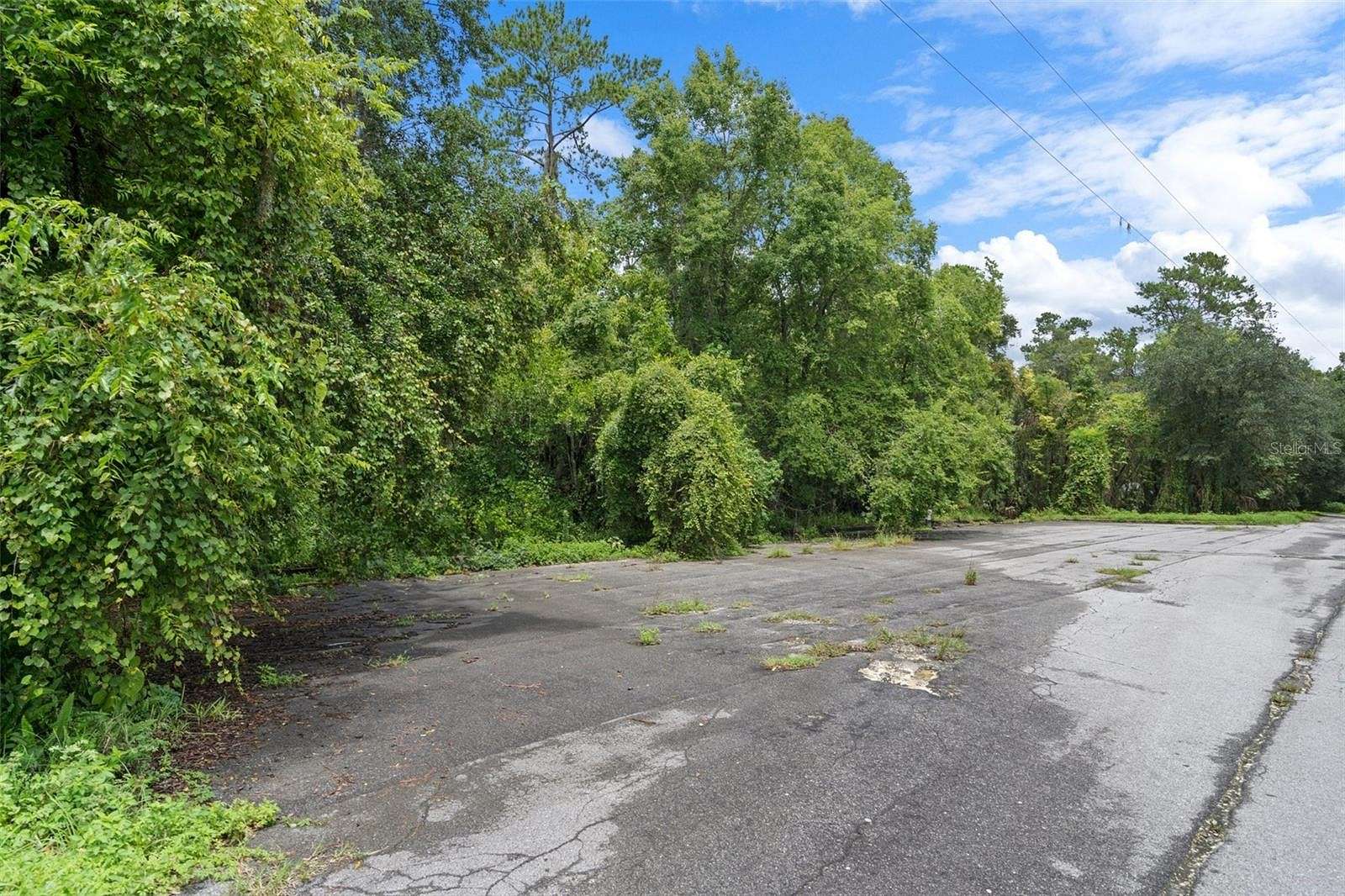 0.25 Acres of Commercial Land for Sale in Brooksville, Florida