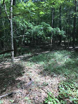 14.5 Acres of Recreational Land for Sale in Bolton, Mississippi