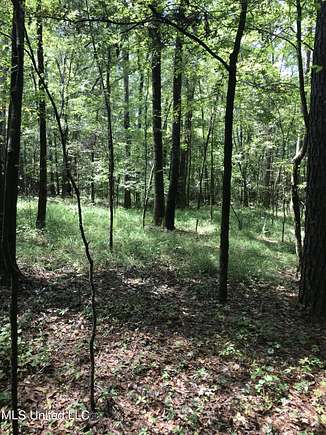 14.5 Acres of Recreational Land for Sale in Bolton, Mississippi ...