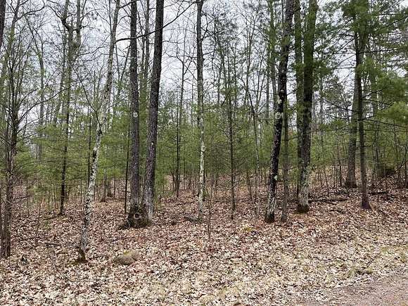 8.59 Acres of Residential Land for Sale in Hazelhurst, Wisconsin