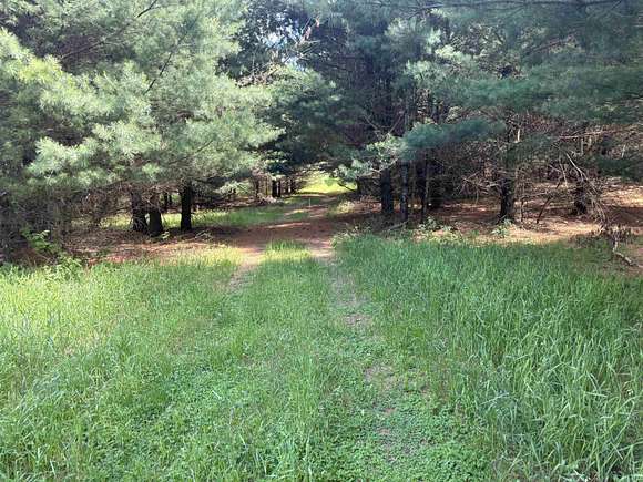14.93 Acres of Land for Sale in Custer, Wisconsin