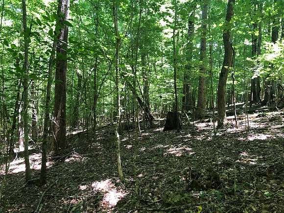 5.53 Acres of Residential Land for Sale in Jasper, Tennessee