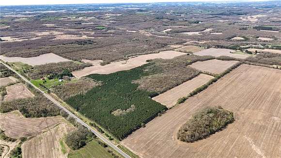79 Acres of Recreational Land & Farm for Sale in Eleva, Wisconsin